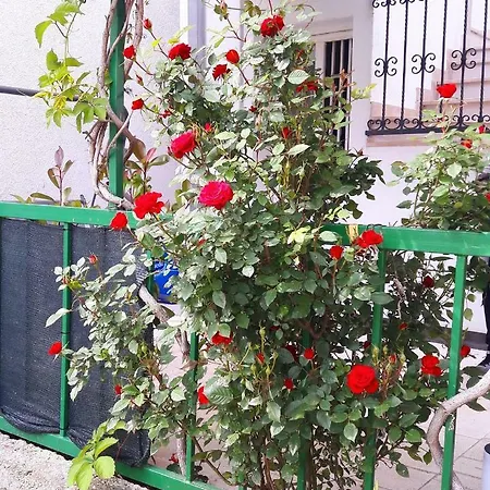 Dvor Ana Apartmán Kaštela