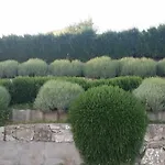 Dvor Ana דירה Kaštela