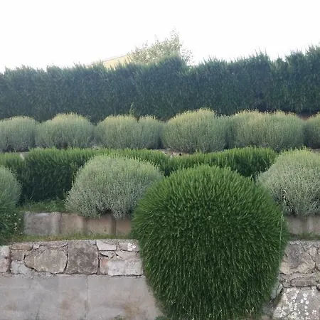 Dvor Ana Apartament Kaštela