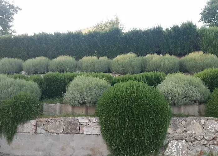 Dvor Ana Apartment Kaštela