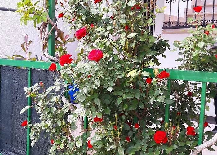 Dvor Ana Apartment Kaštela